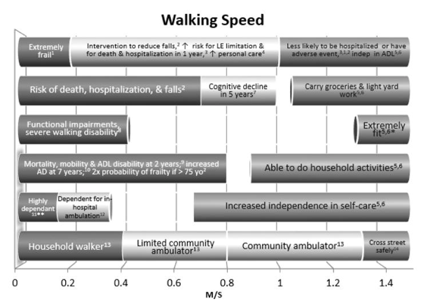 Optimizing Gait Speed in Rehabilitation