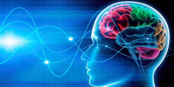 5 Myths About Neuroplasticity (And What’s Actually True)